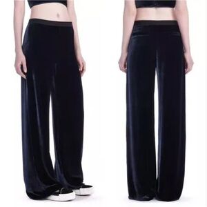 Alexander Wang T Velvet Navy blue Women’s Pants